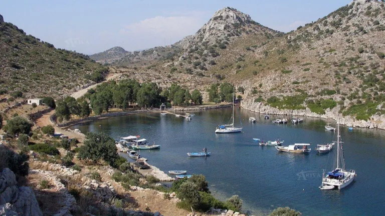 serce bay